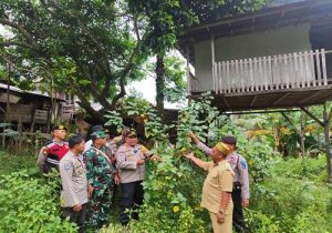 IMG 20240715 WA0022 11zon 1