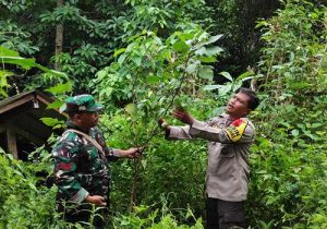 IMG 20240715 WA0023 11zon