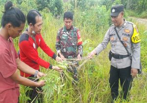 IMG 20240721 WA0010 11zon