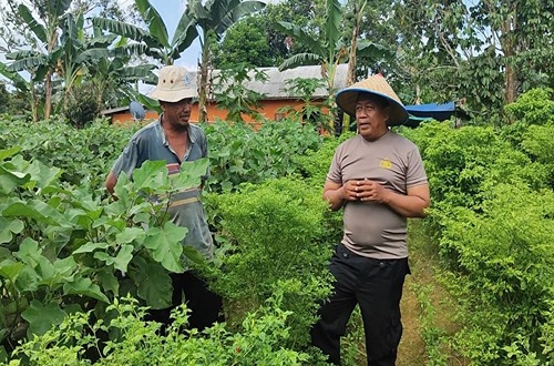 IMG 20241023 WA0020 11zon