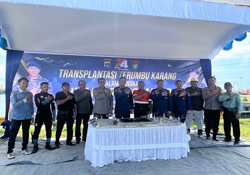 Transplantasi Terumbu Karang di Kotabaru