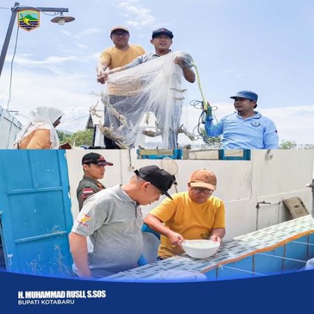 Bupati Kotabaru H. Muhammad Rusli meninjau dan ikut serta dalam panen udang serta pembenihan di Balai Benih dan Kesehatan Ikan Desa Gedambaan.